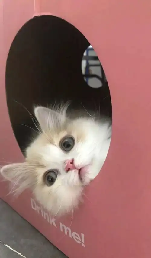 干货分享