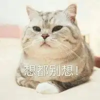 猫咪表情包头像搞笑微信头像图片大全