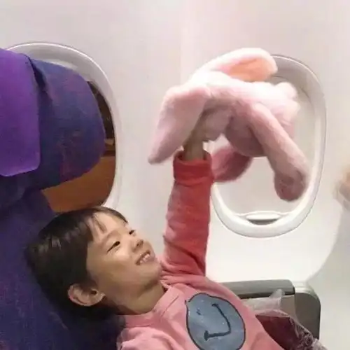 已找到求一组情头是一个小男孩和小女孩在飞机上举着兔子玩具的