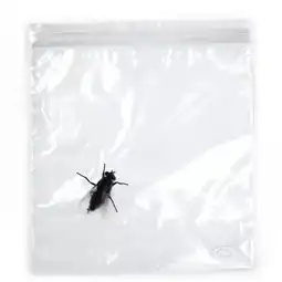 这个品牌的设计师都是一群长不大的孩子