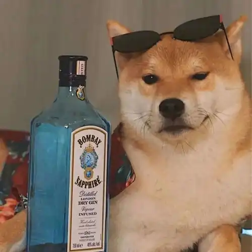 测试一个超长简介的文章