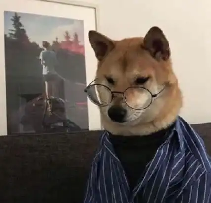 测试一个超长简介的文章