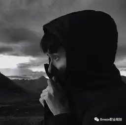 四大很难进吗