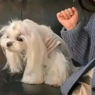 气哭了这么多好看的情头我用不上