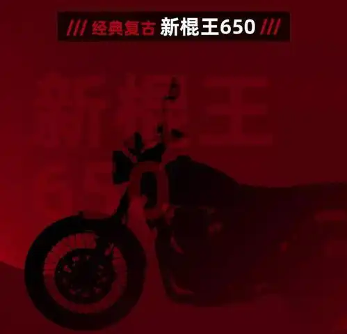 源鑫摩托又有新动作了,多款新车亮相,其中就有烈火骑士纪念版