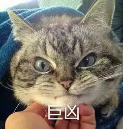 东华帝君高伟光手好看个子高脸帅,就是有一个致命的问题