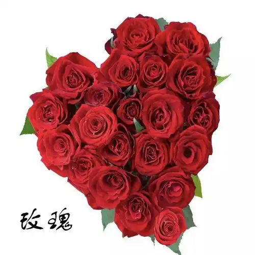 测试一个超长简介的文章