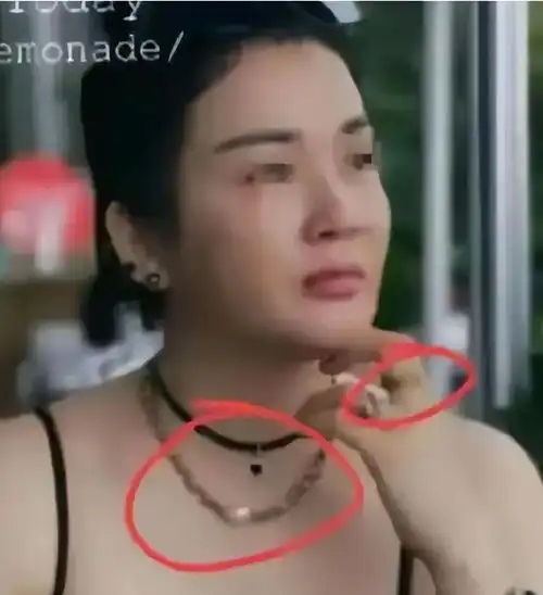 中华儿慈会秘书长丑闻惊人奢靡还耍流氓