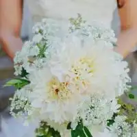 比卡丘图片手捧鲜花微信头像图片大全
