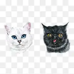 免费下载宠物头像图片大全千库网png