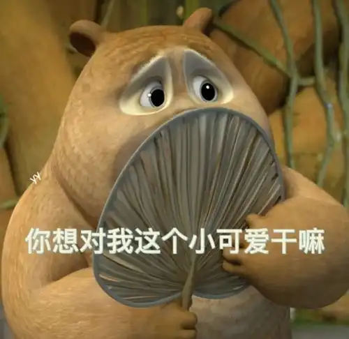 熊大熊二第一弹