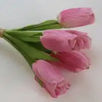 手里捧小一点花的头像微信头像图片大全