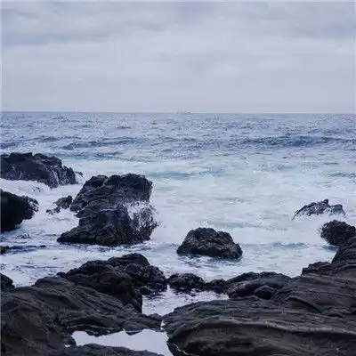 测试一个超长简介的文章