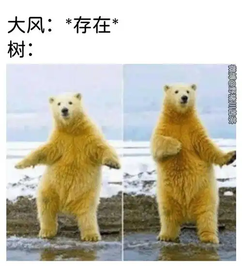 3dm轻松一刻第985期赛博朋克女忍者身材太顶了