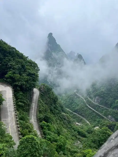 情侣导览张家界五日游,性价比超高行程详解,浪漫之旅必看苗寨天门山金鞭溪凤凰古城张家界市热门景点网易订阅