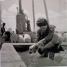 镜头下的50年代中国写真
