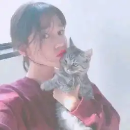 私藏大量猫情头,就差有个男朋友