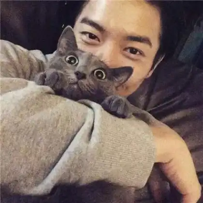 测试一个超长简介的文章