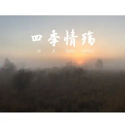 我要的坚强