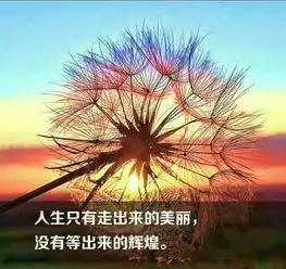 纷飞的思绪